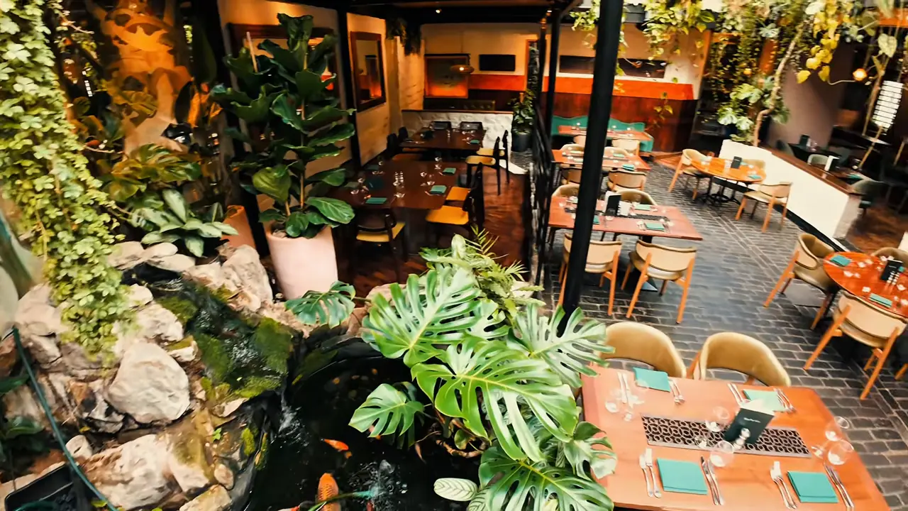 Ubiquitous Chip, Ashton Lane, Glasgow, filmed by drone